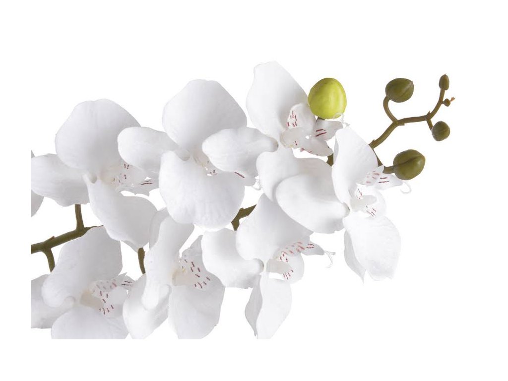 Umělé orchideje bílé